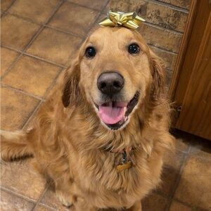 Meet your Posher, Jackson